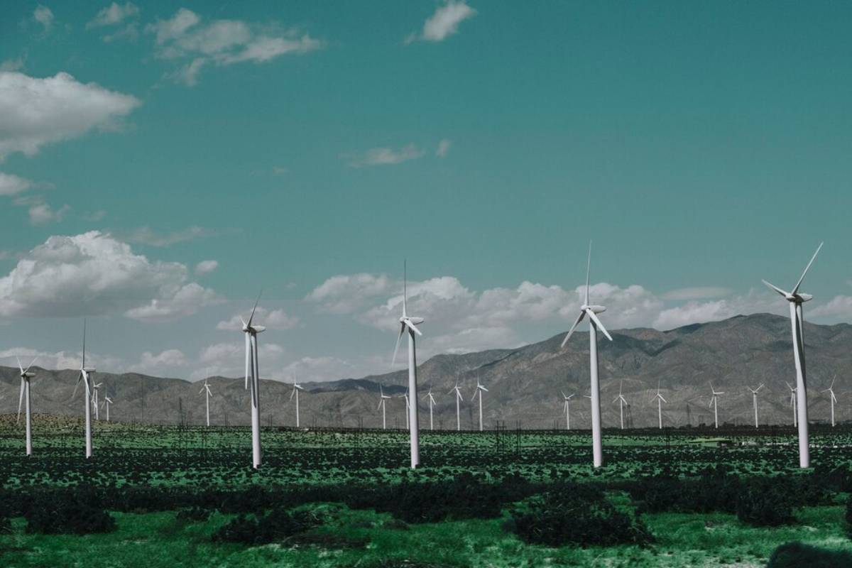  . A row of wind turbines stands tall against a clear blue sky in a vast desert landscape.